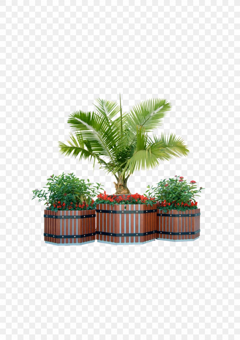 Plant Tree Window Box Shrub, PNG, 2480x3508px, Plant, Arecaceae, Arecales, Bonsai, Flower Download Free