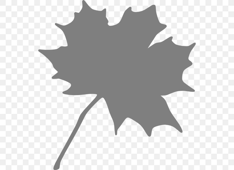 Canada Red Maple Maple Leaf Clip Art, PNG, 552x597px, Canada, Autumn Leaf Color, Black, Black And White, Drawing Download Free