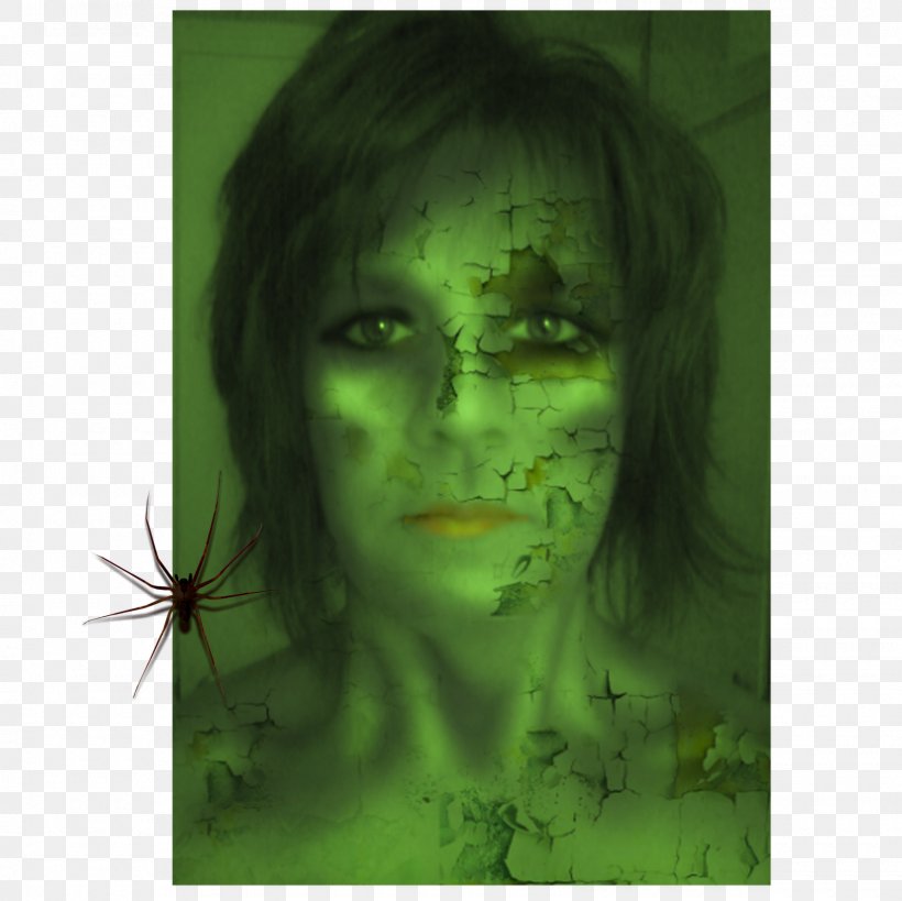 Eye Green Special Effects, PNG, 1600x1600px, Eye, Face, Grass, Green, Head Download Free