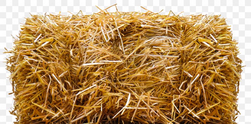 Straw-bale Construction Harvest Hay, PNG, 1280x636px, Straw, Agriculture, Avena, Baler, Cereal Download Free