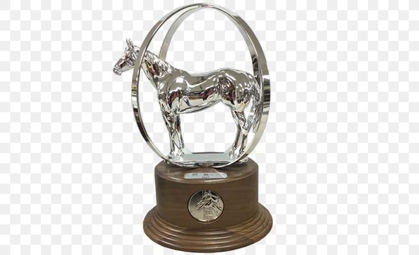 American Quarter Horse Association Trophy Aqha World Show Award Commemorative Plaque, PNG, 500x500px, American Quarter Horse Association, Award, Bronze, Champion, Commemorative Plaque Download Free
