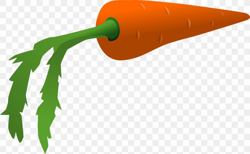 Carrot Cartoon Vegetable Clip Art, PNG, 2400x1482px, Carrot, Baby Carrot, Cartoon, Food, Leaf Vegetable Download Free