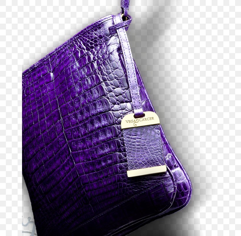 Handbag Pattern, PNG, 670x800px, Handbag, Bag, Magenta, Purple, Violet Download Free