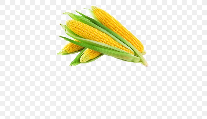 Vegetable Sweet Corn Corn Kernel Food Cereal, PNG, 600x472px, Vegetable, Agriculture, Cabbage, Cereal, Commodity Download Free