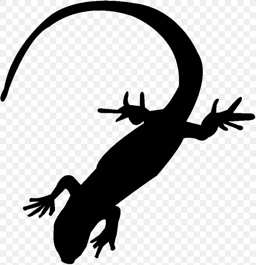 White Stork Reptile Fire Salamander, PNG, 871x900px, White Stork, Amphibian, Artwork, Black And White, Chordata Download Free