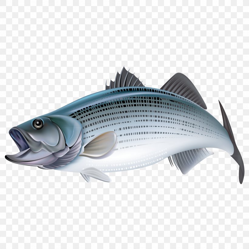Bony Fishes Sticker Animal, PNG, 2016x2016px, Fish, Animal, Barbel, Bass, Bony Fish Download Free