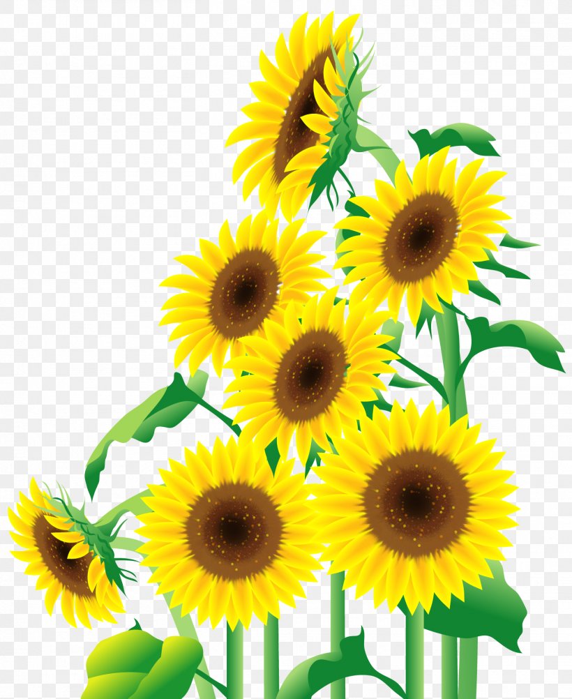 Common Sunflower Cerâmica De Revestimento Urban Renewal Ceramic Azulejo, PNG, 1458x1783px, Common Sunflower, Azulejo, Ceramic, Cut Flowers, Daisy Family Download Free
