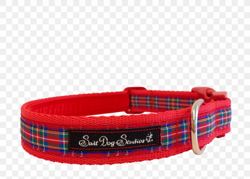 Dog Collar Cat Stripe, PNG, 1280x919px, Dog Collar, Cat, Collar, Dog, Polka Dot Download Free