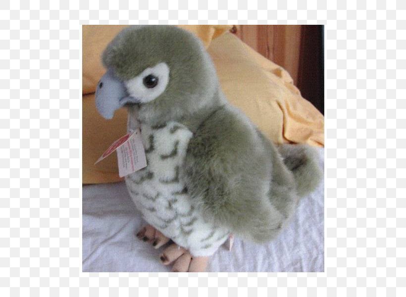 Fauna Beak, PNG, 800x600px, Fauna, Beak, Fur, Plush, Stuffed Toy Download Free