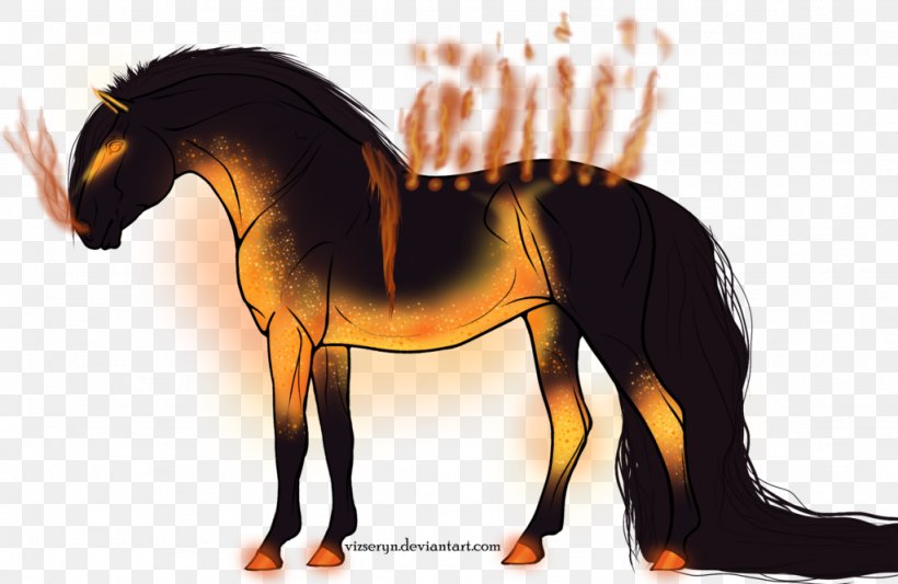 Mane Mustang Pony Stallion Halter, PNG, 1024x666px, Mane, Bridle, Colt, Halter, Horse Download Free