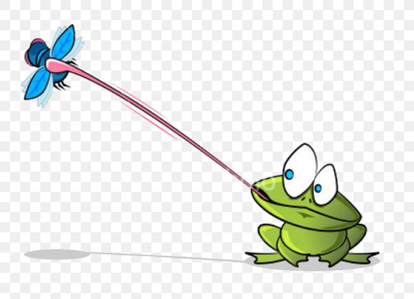 Poison Dart Frog Amphibian Cartoon Clip Art, PNG, 767x592px, Frog, American Bullfrog, Amphibian, Area, Cartoon Download Free
