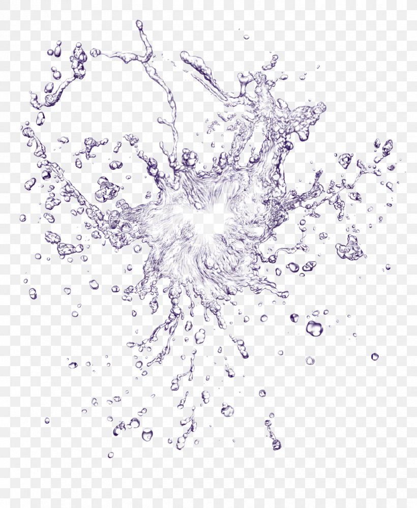 Splash Drop Water, PNG, 1238x1509px, Splash, Area, Branch, Drawing, Drop Download Free