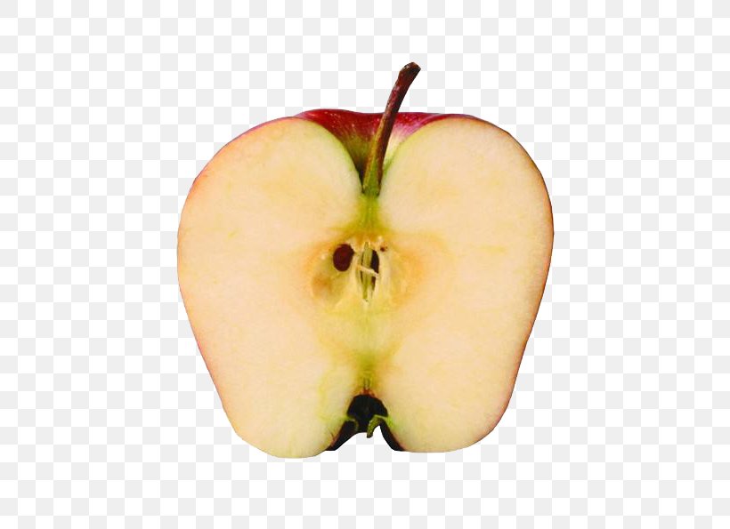 Apple Download, PNG, 548x595px, Apple, Arc, Designer, Food, Fruit Download Free