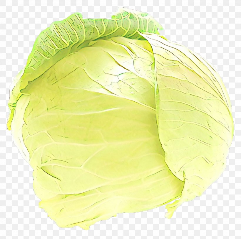 Cabbage Greens, PNG, 1458x1443px, Cabbage, Feather, Green, Greens, Iceburg Lettuce Download Free