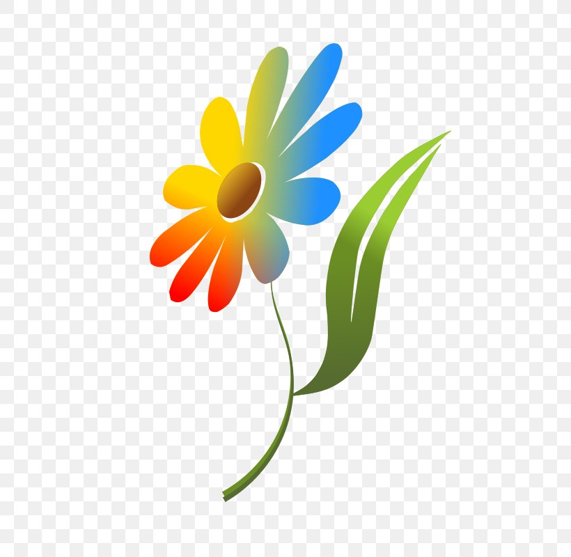Common Daisy Rainbow Clip Art, PNG, 566x800px, Common Daisy, Blog, Color, Daisy, Daisy Family Download Free