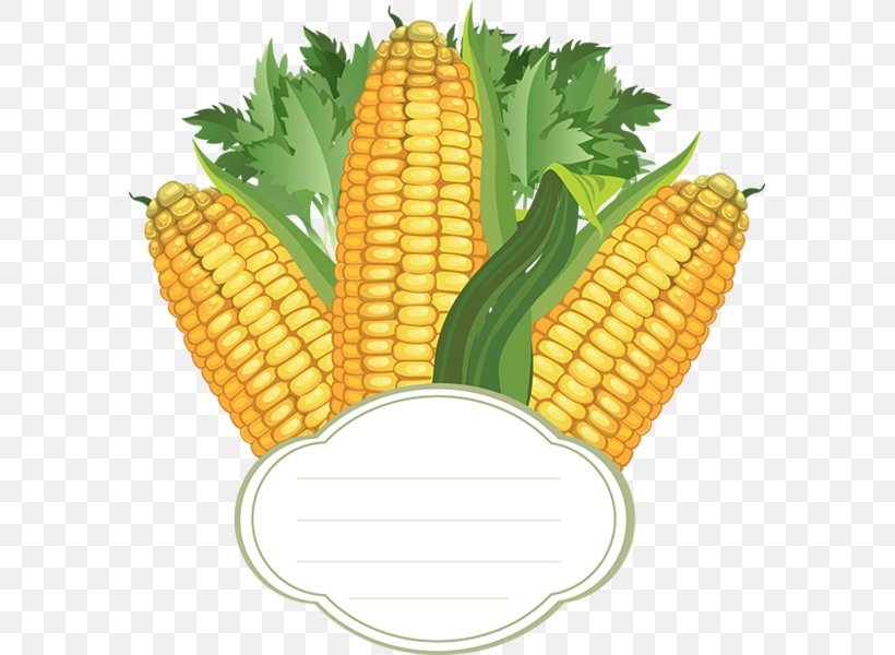 Corn On The Cob Maize, PNG, 583x600px, Corn On The Cob, Commodity, Corn Kernel, Corn Kernels, Depositfiles Download Free