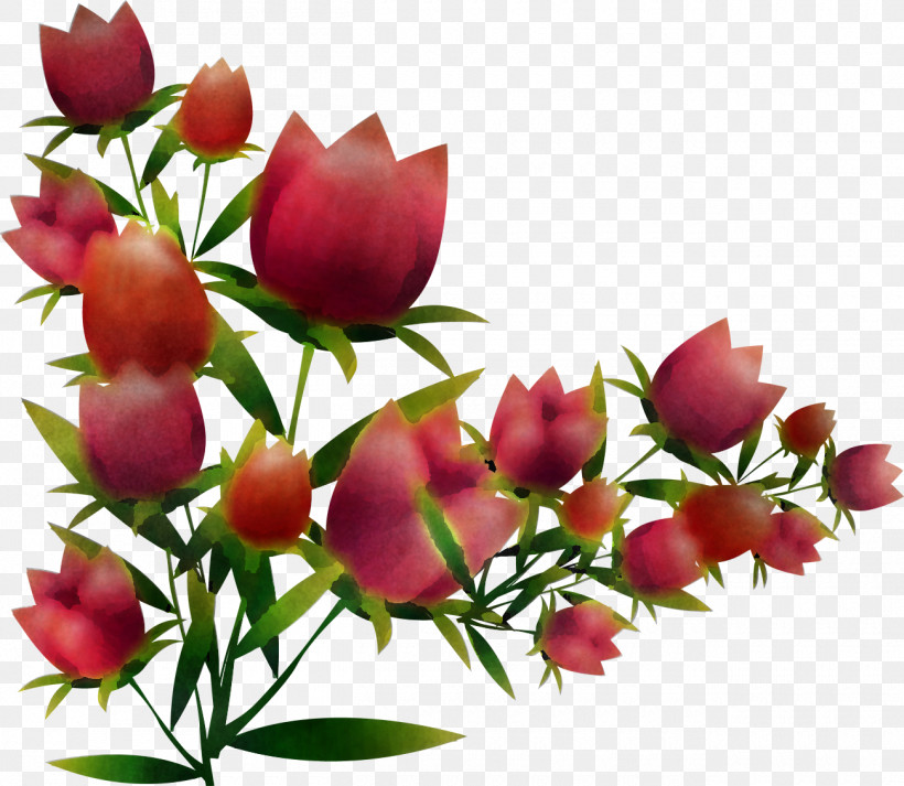 Flower Plant Petal Bud Cut Flowers, PNG, 1300x1131px, Flower, Bud, Cut Flowers, Petal, Plant Download Free