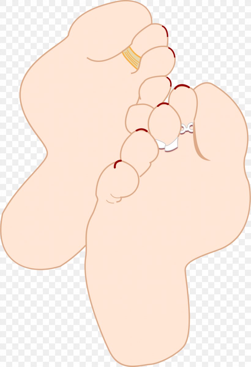 Foot Human Body Sole Clip Art, PNG, 1644x2400px, Watercolor, Cartoon, Flower, Frame, Heart Download Free