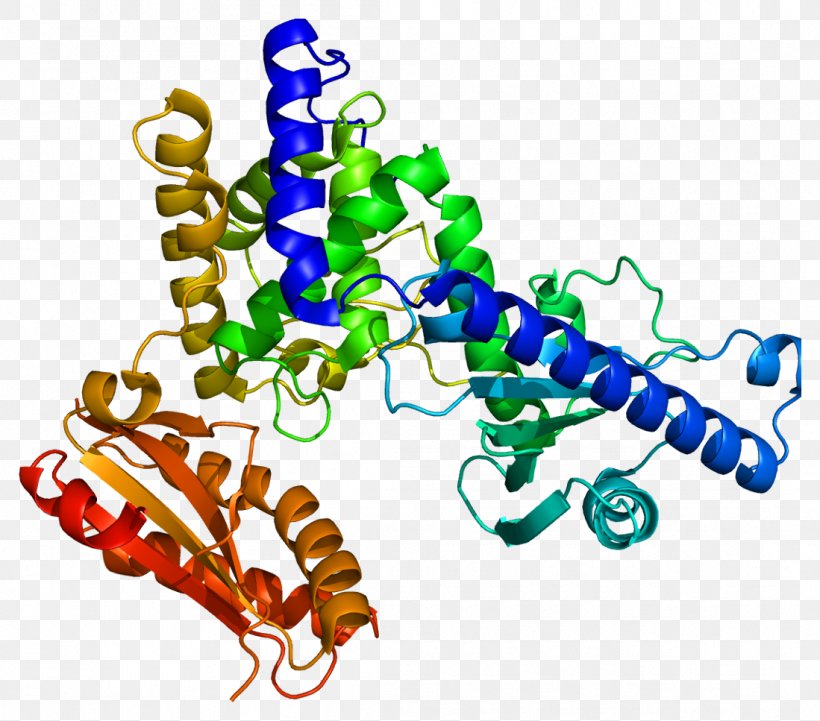 PAPOLA FIP1L1 Polynucleotide Adenylyltransferase Protein CPSF1, PNG, 1099x967px, Protein, Body Jewelry, Dna, Dna Polymerase, Dna Polymerase Epsilon Download Free