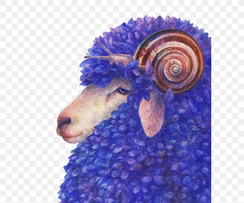 Suffolk Sheep Photography Art, PNG, 600x682px, Suffolk Sheep, Art, Artist, Blue, Creativity Download Free