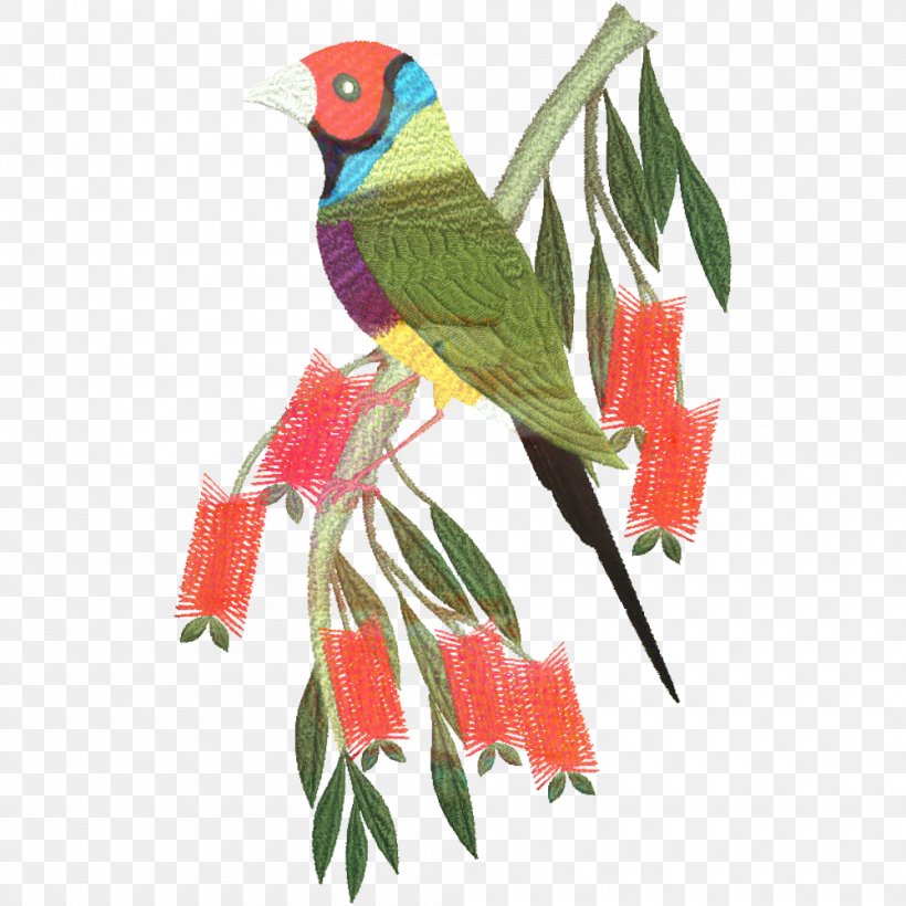 Bird Parrot, PNG, 1000x1000px, Parrot, Beak, Bird, Branch, Budgerigar Download Free