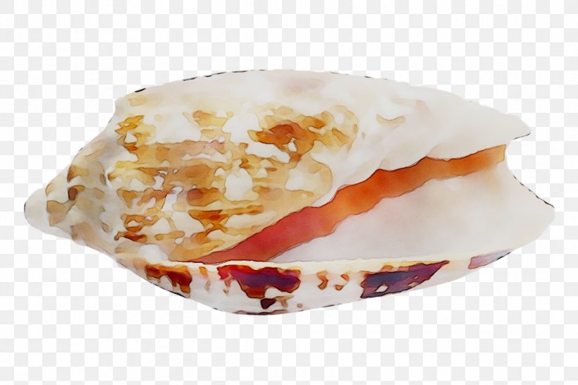 Cockle Seashell Wind Wave Shore, PNG, 1065x710px, Cockle, Baked Goods, Baltic Macoma, Beach, Bivalvia Download Free
