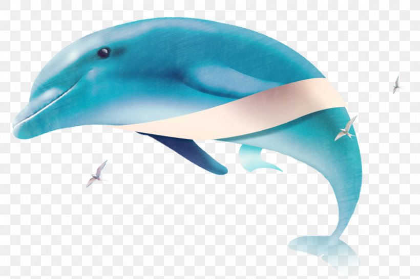 Common Bottlenose Dolphin Tucuxi Hong Kong Jockey Club, PNG, 1174x783px, Common Bottlenose Dolphin, Aqua, Beak, Blue, Communicatiemiddel Download Free