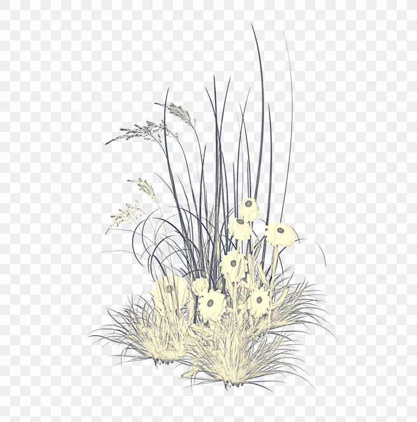 Feather, PNG, 1703x1727px, Grass, Aquarium Decor, Feather, Flower, Grass Family Download Free