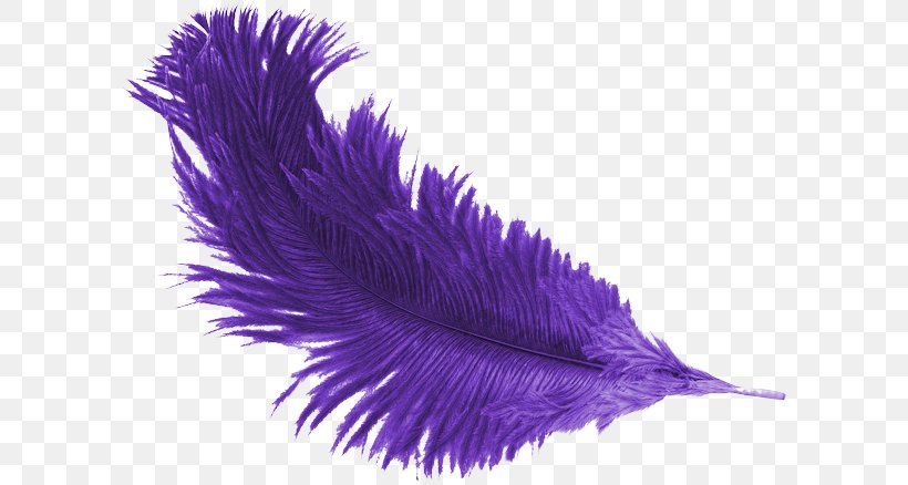 Feather Purple Mulberry, PNG, 600x438px, Feather, Color, Data, Data Compression, Lavender Download Free