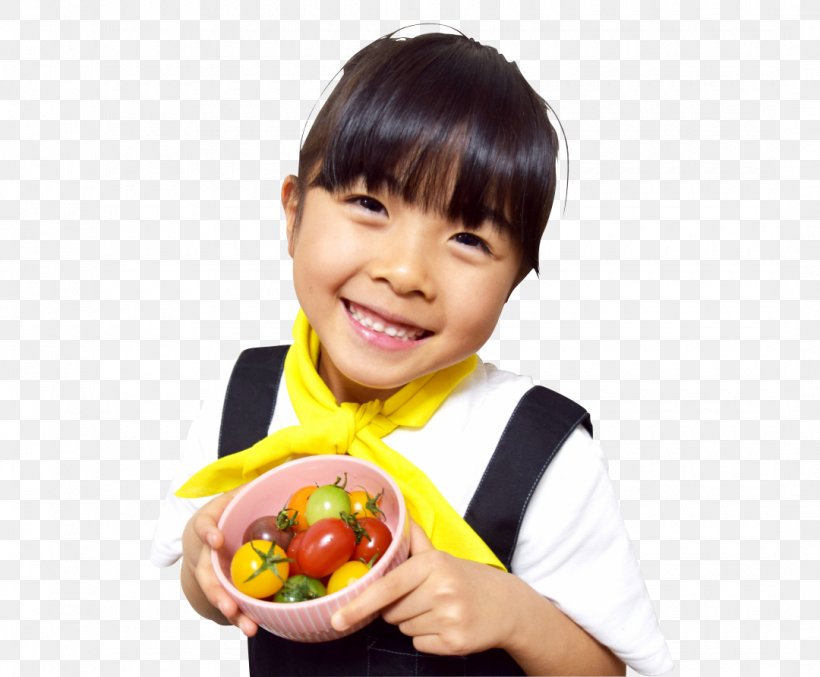 Nihonkai Gas Toyama Consommé Vegetable Nabemono, PNG, 1080x892px, Toyama, Baking, Beef, Child, Diet Food Download Free