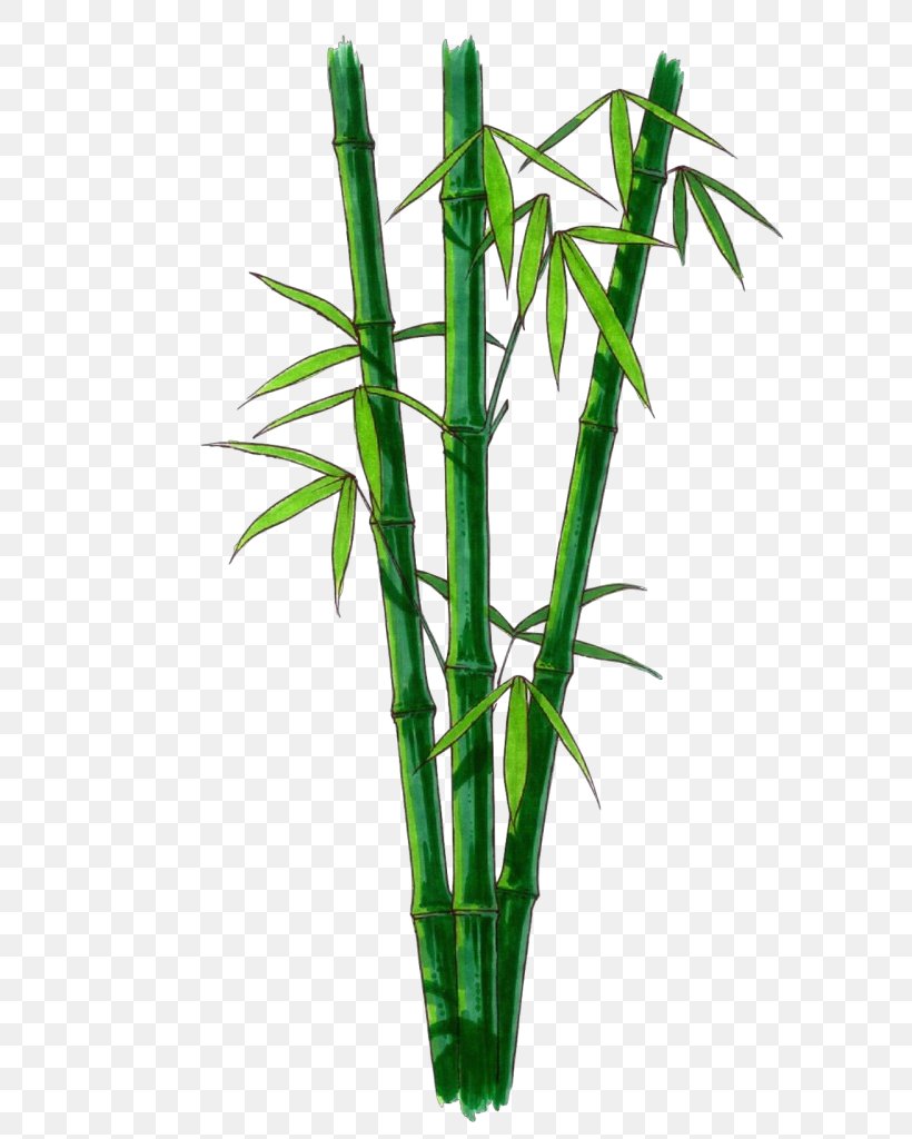 Bamboo Plant Plant Stem Flower Leaf, PNG, 625x1024px, Cartoon, Bamboo, Flower, Flowering Plant, Flowerpot Download Free