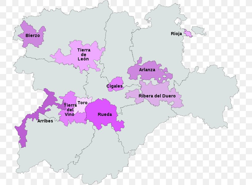 Castilla Y León Wine Ribera Del Duero DO Denominación De Origen, PNG, 737x600px, Leon, Area, Autonomous Communities Of Spain, Map, Purple Download Free