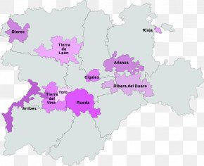 Wine - Castilla Y LeÃ³n Wine Ribera Del Duero DO DenominaciÃ³n De Origen PNG