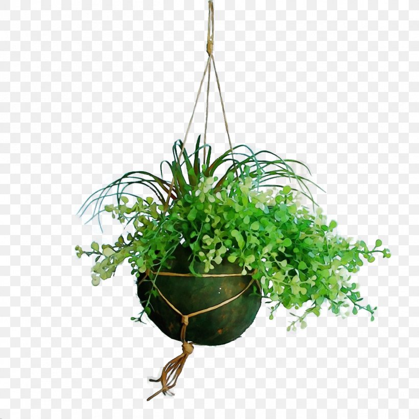 Flowerpot Plant Flower Houseplant Grass, PNG, 1297x1297px, Watercolor, Flower, Flowerpot, Grass, Herb Download Free