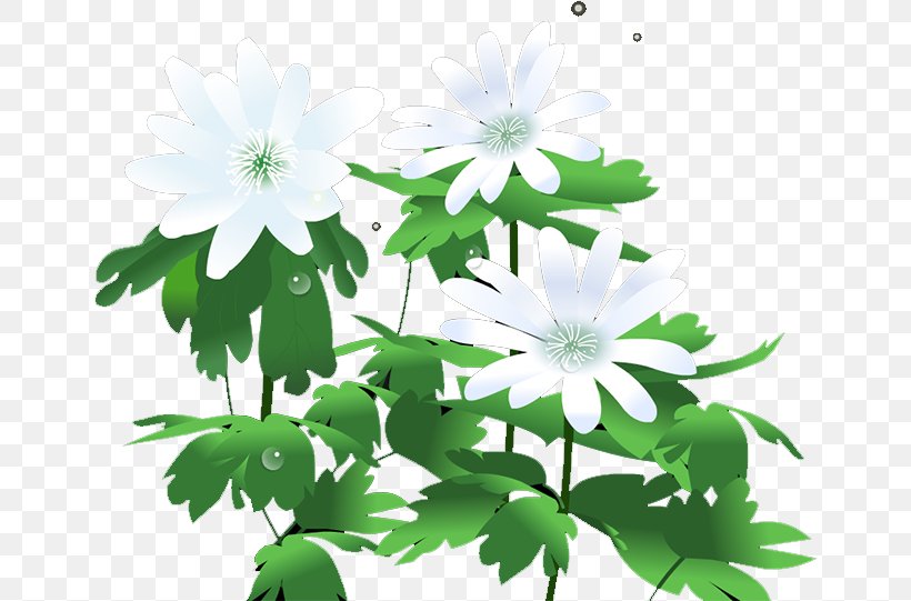 Chrysanthemum Flower Euclidean Vector Leaf, PNG, 650x541px, Chrysanthemum, Chrysanths, Daisy Family, Flora, Floral Design Download Free