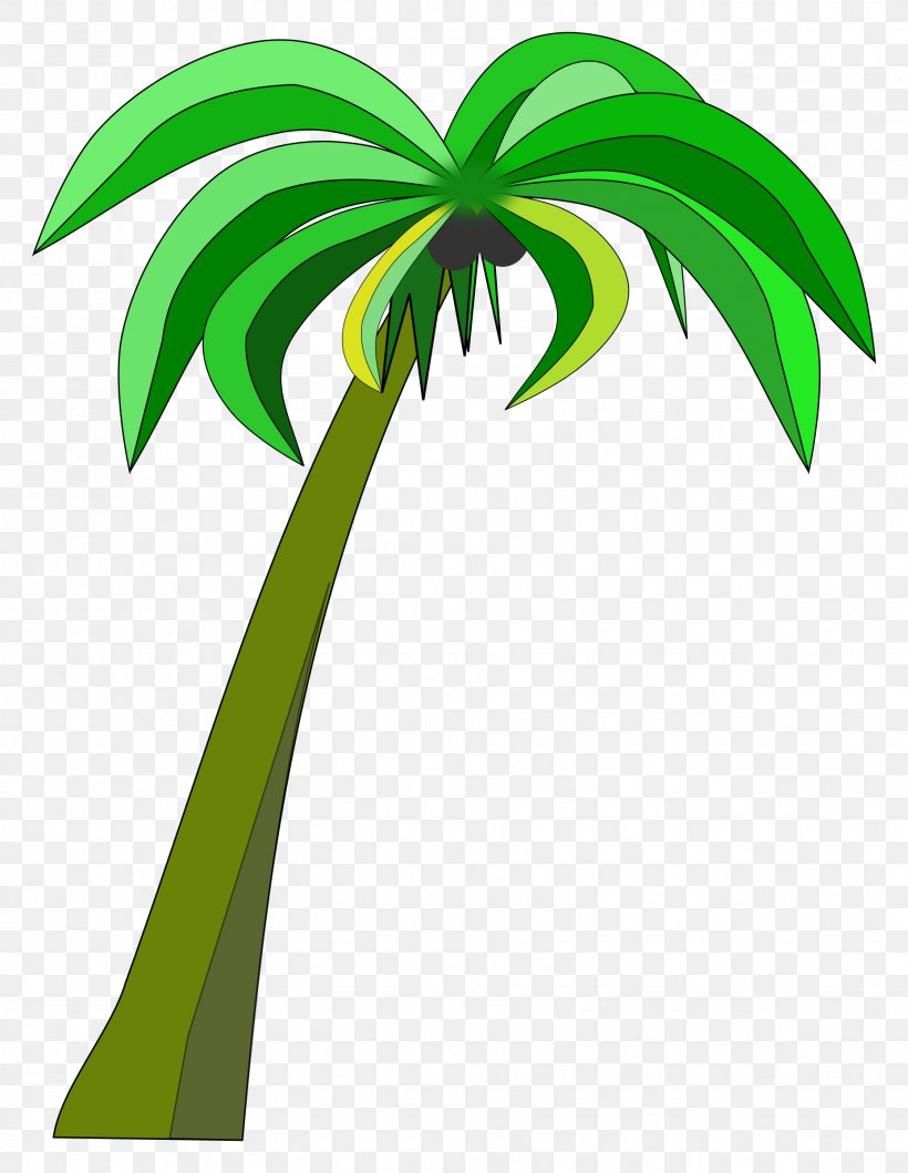 Coconut Arecaceae Clip Art, PNG, 1858x2400px, Coconut, Arecaceae, Arecales, Facebook, Flora Download Free