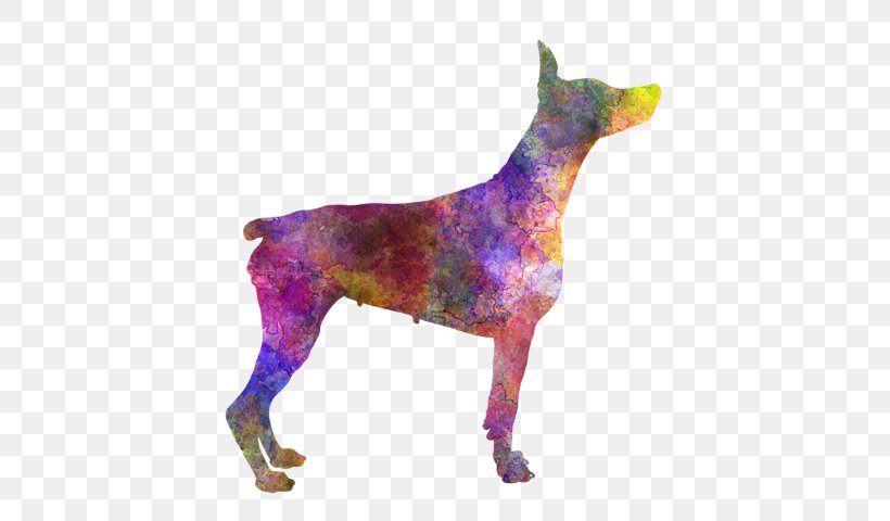 Dog Breed Dobermann Pinscher Guard Dog Giclée, PNG, 600x480px, Dog Breed, Art, Carnivoran, Craft, Dobermann Download Free