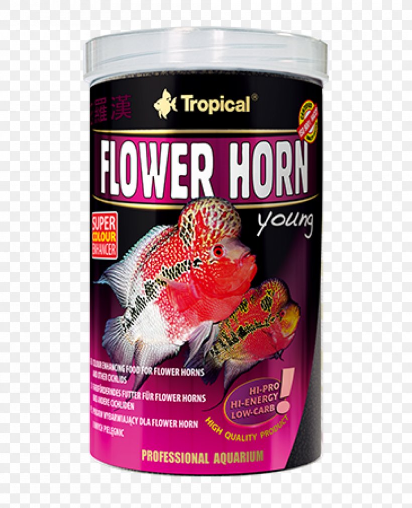 Flower Horn Aquarium Fish Feed Cichlid Pet Food, PNG, 1000x1231px, Flower Horn, Aquarium, Aquarium Fish Feed, Cichlid, Color Download Free