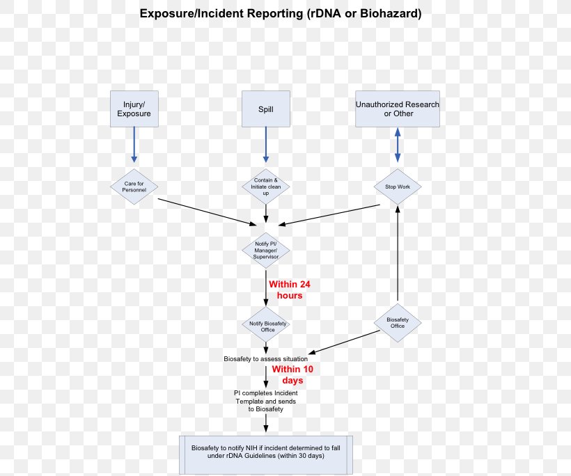 Incident Report Diagram Flowchart Template, PNG, 506x684px, Incident Report, Activity Diagram, Biological Hazard, Biosafety, Chart Download Free