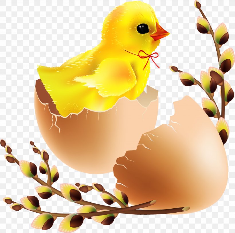 Royalty-free Clip Art, PNG, 4032x4000px, Royaltyfree, Beak, Bird, Easter Egg, Egg Download Free