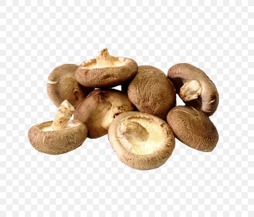 Shiitake Hot Pot Oyster Mushroom Vegetable, PNG, 700x700px, Shiitake, Cream Of Mushroom Soup, Edible Mushroom, Enokitake, Food Drying Download Free