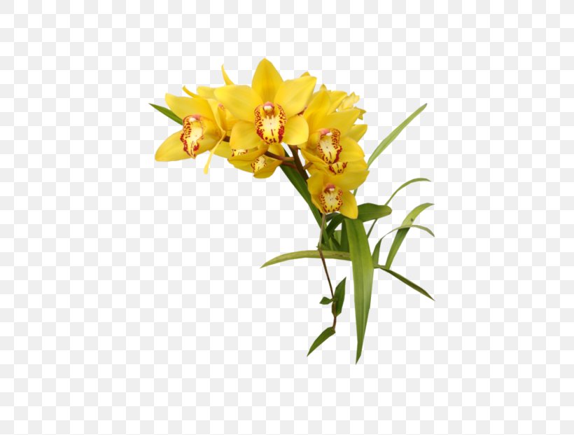 Yellow Flower Clip Art, PNG, 700x621px, Yellow, Color, Cut Flowers, Flora, Flower Download Free