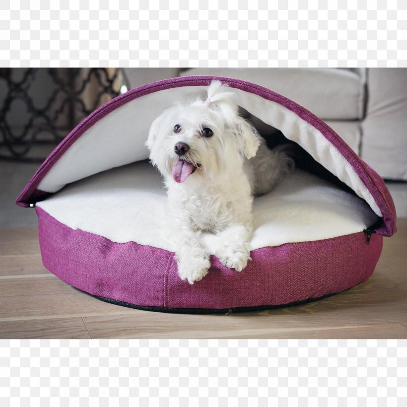 Bolster Bread Pan Dog Breed Maltese Dog Bed, PNG, 1650x1650px, Bolster, Bed, Behance, Bread Pan, Companion Dog Download Free