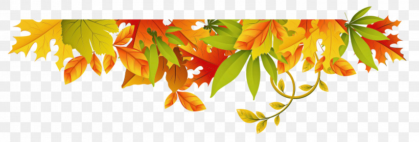 Orange, PNG, 3000x1024px, Leaf, Autumn, Flower, Orange, Plant Download Free