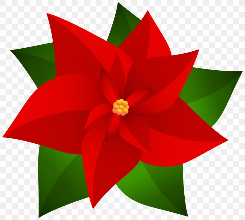 Poinsettia Christmas Clip Art, PNG, 8000x7205px, Poinsettia, Art, Christmas, Christmas Gift, Digital Image Download Free