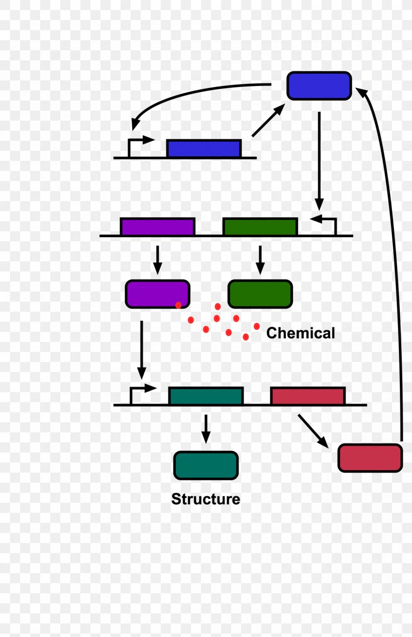 Product Design Line Diagram Point, PNG, 1294x2000px, Diagram, Area, Parallel, Point, Technology Download Free