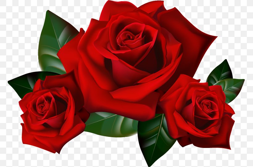Rose Clip Art, PNG, 769x543px, Rose, Cut Flowers, Document, Flora, Floral Design Download Free