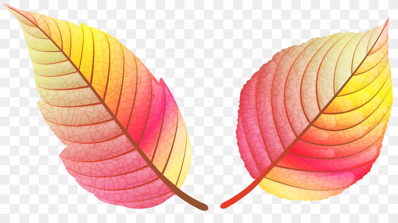 Clip Art Image Leaf Openclipart, PNG, 6000x3361px, Leaf, Autumn, Earrings, Plant, Royaltyfree Download Free