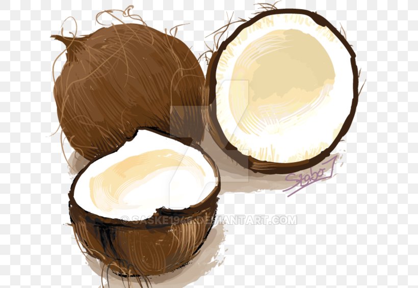 Drawing Coconut DeviantArt, PNG, 800x565px, Drawing, Art, Art Museum, Coconut, Cup Download Free