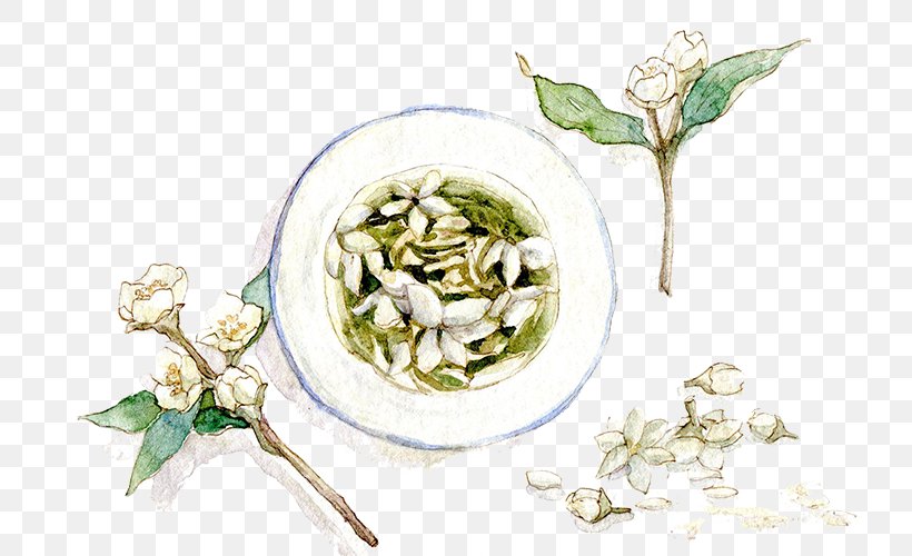 Flowering Tea Arabian Jasmine Jasmine Tea, PNG, 794x500px, Tea, Arabian Jasmine, Flower, Flowering Tea, Food Download Free